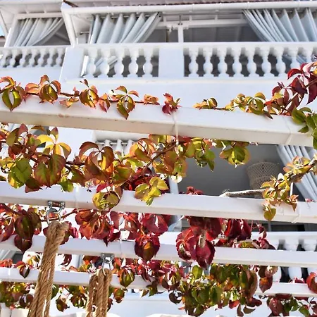 Appartement Angelos Design