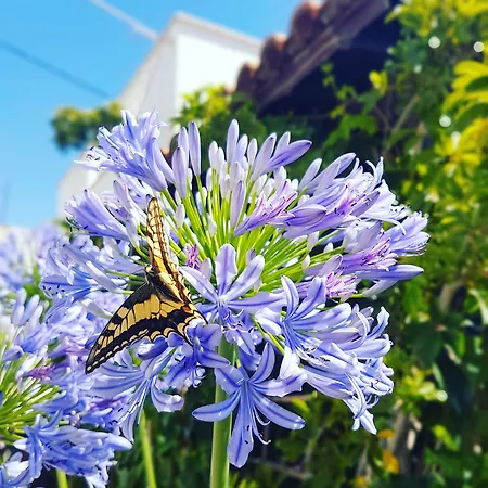 Apartamento Angelos Design *