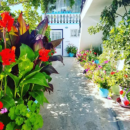 Appartement Angelos Design *