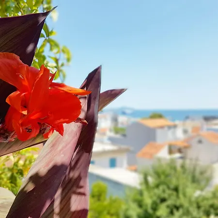 Angelos Design Apartamento Patitiri