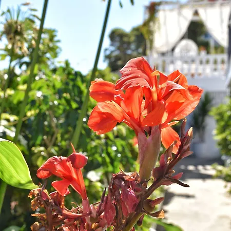 Angelos Design * Patitiri